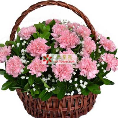 母親節(jié)訂花服務(wù) 臺州路橋區(qū)花店為您傳遞愛的溫暖