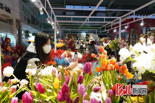 唐山鳳凰花卉市場躋身中國商品市場峰會時尚市場30強(qiáng)，彰顯辦公用品多元化魅力