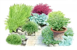 愛世園小伙伴 花境小科普，為迎接花卉盛宴做準(zhǔn)備