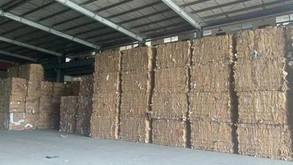 夯實(shí)前端回收，轉(zhuǎn)變模式再出發(fā) 劉磊在第七屆中國回收紙行業(yè)大會的探索之路